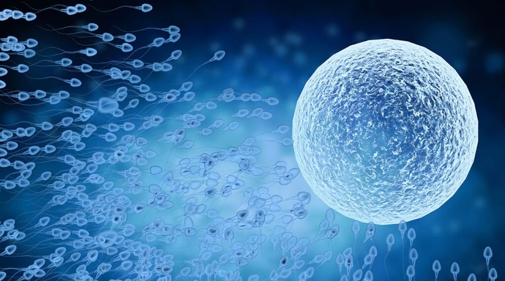 Inseminazione intrauterina (IUI)